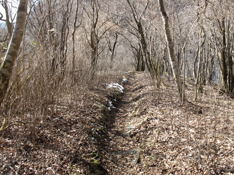 20160218hike (502)